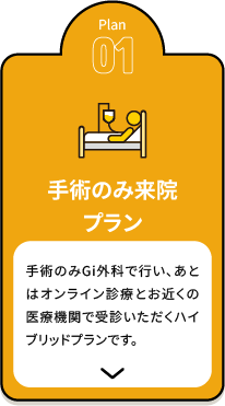 手術のみご来院プラン
