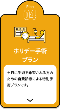ホリデー手術プラン【保険外適用のため自費診療】
